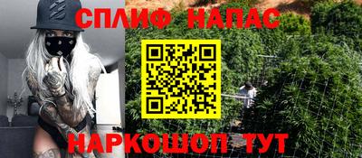 стаф Камышлов